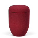 Heiso Elegance Sandbeschichtet Bio Urne-4