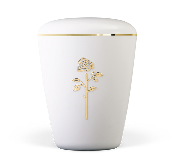 Heiso Exclusive banda de oro banda de plata motivo urna orgánica