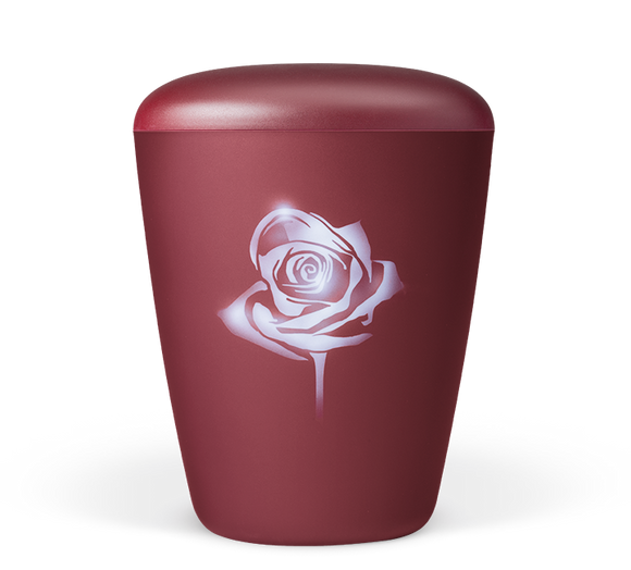 Heiso Exklusiv Airbrush Bio Urne