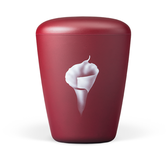 Heiso Exklusiv Airbrush Bio Urne