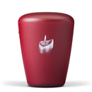 Heiso Exklusiv Airbrush Bio Urne-10