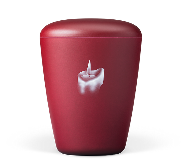 Heiso Exklusiv Airbrush Bio Urne