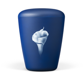 Urna Heiso Exclusive Airbrush Bio - 0