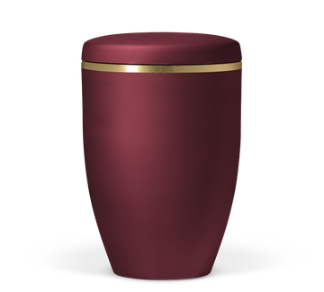 Heiso Avantgarde Goldband gebürstet Bio Urne