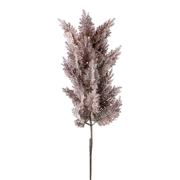 Kaufen pampasgras-88cm-aubergine Zweige Kunstpflanze deko