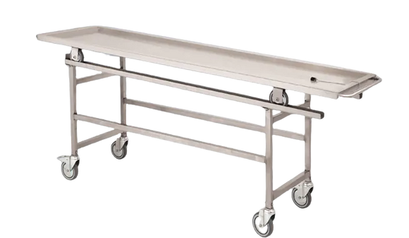 Carro de transporte Hygeco con carriles guía