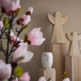 Magnolienstrauch - 0