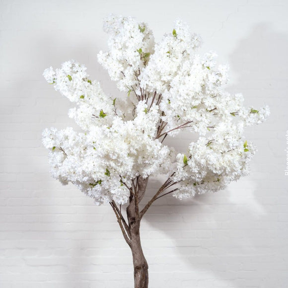 Blütenbaum in verschieden Farben