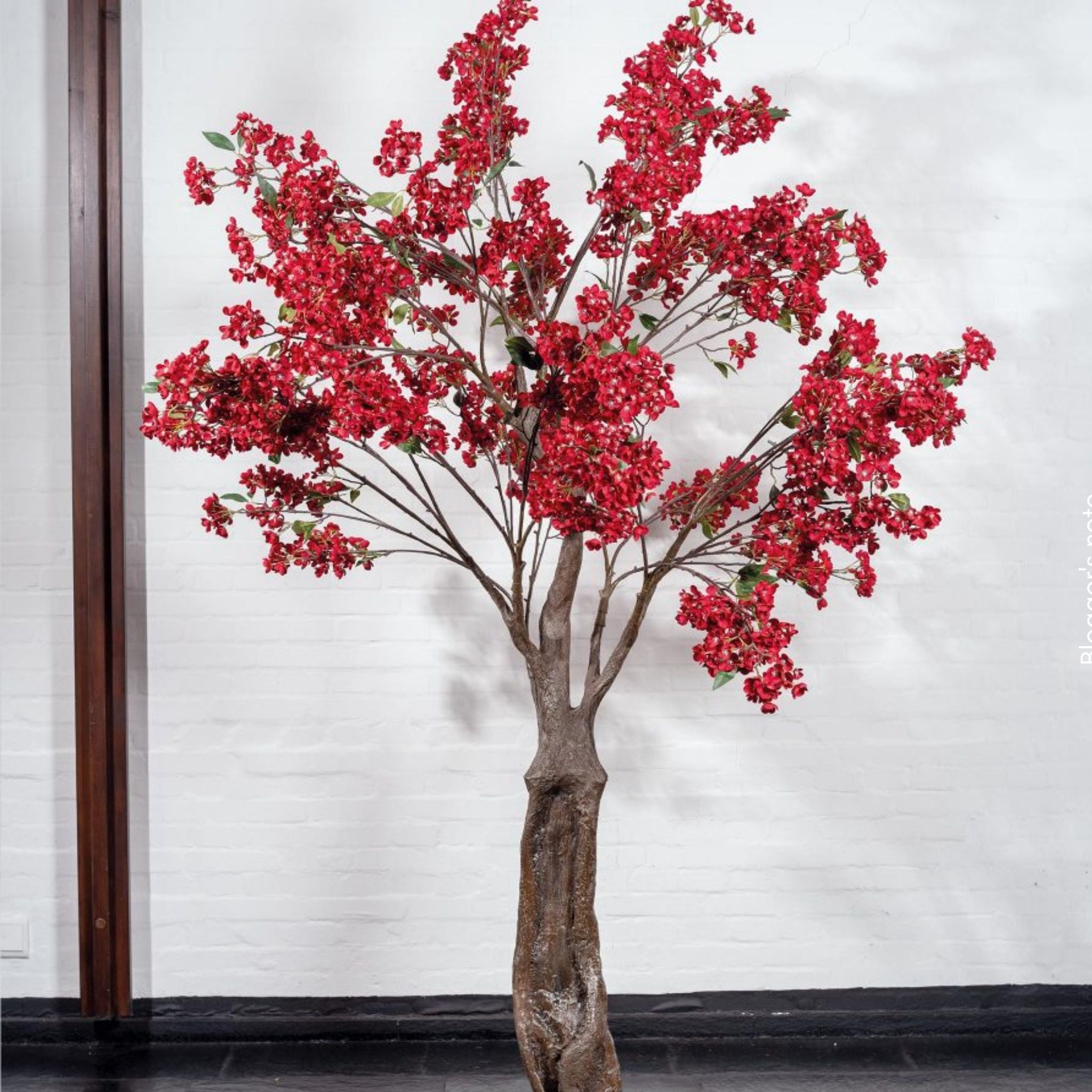Blossom tree in different colors - 0
