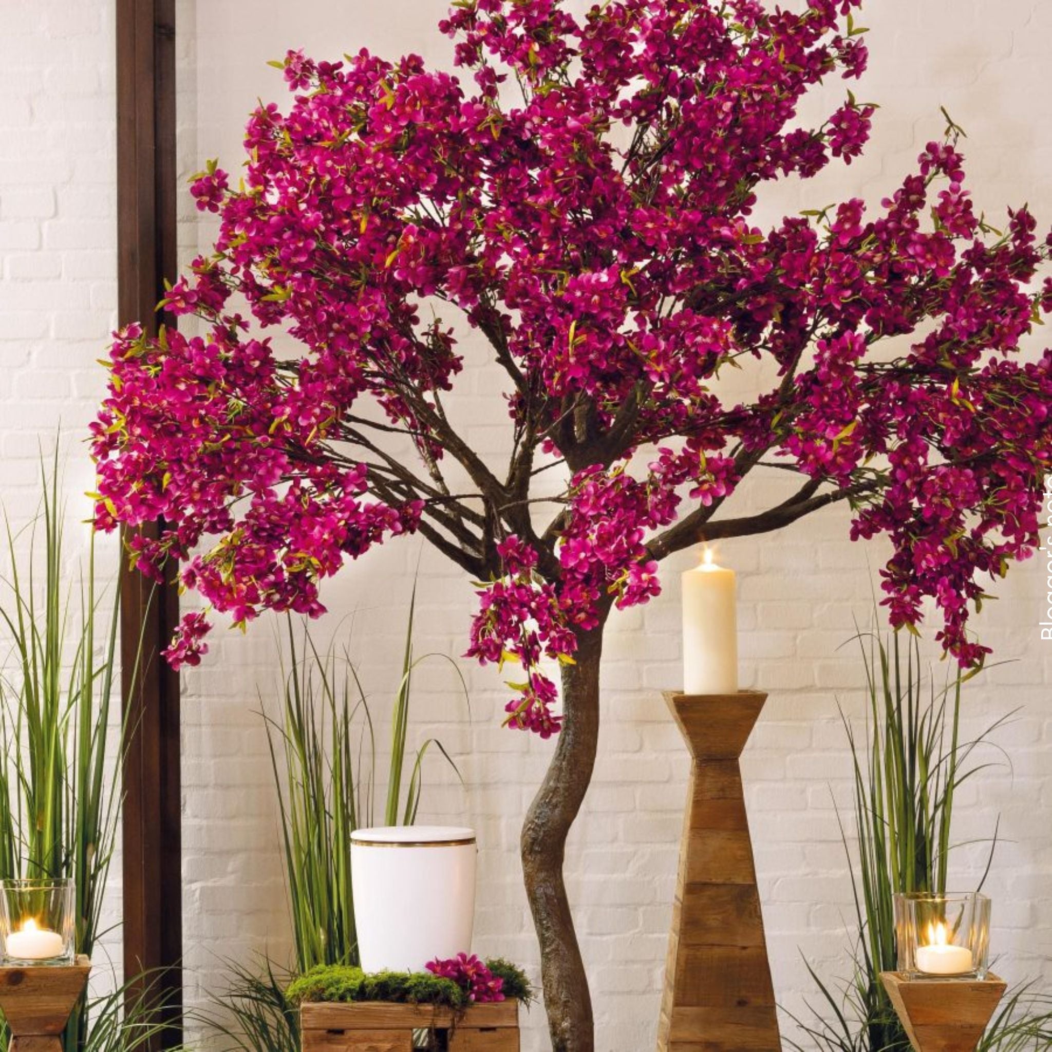 Blossom tree in different colors