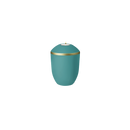 Feuer und Erde Pure Memory Bio Lehm Urne-66