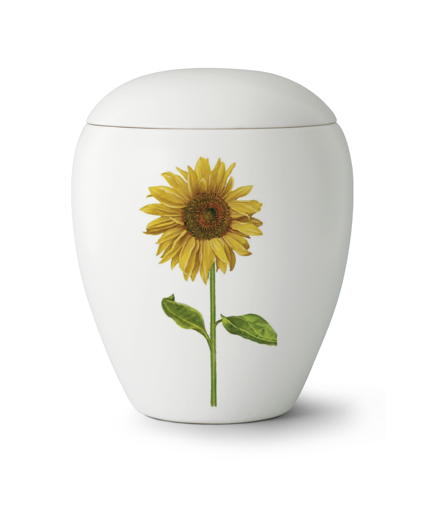Kaufen weiss-sonnenblume Völsing Urne Edition Bianco Keramik