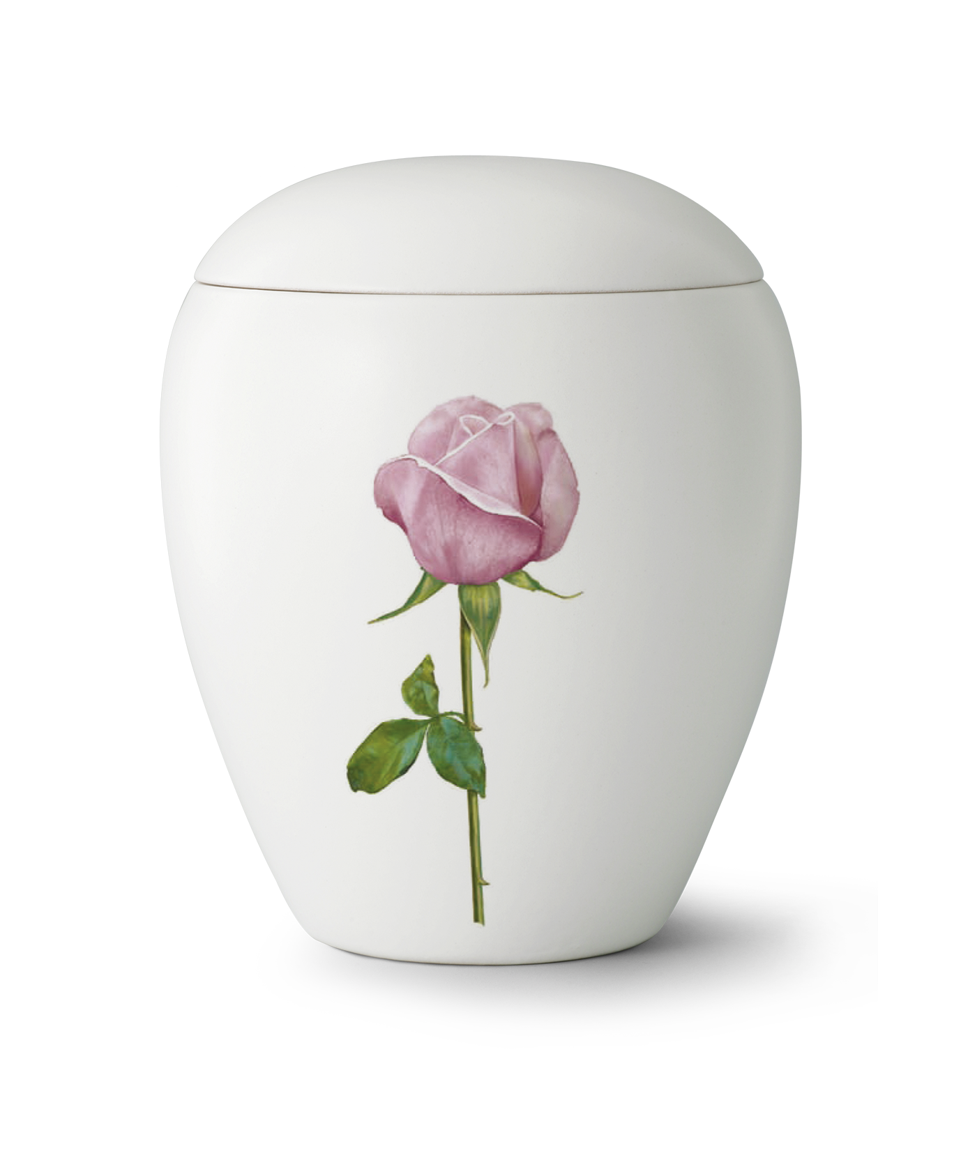 Kaufen weiss-rose Völsing Urne Edition Bianco Keramik