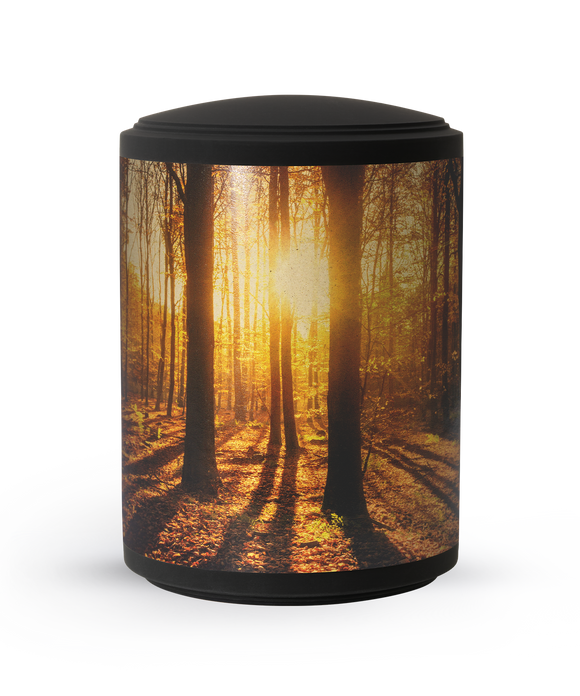 Völsing Urn Edition Arbo