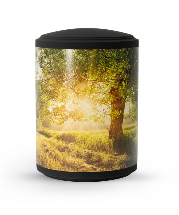 Völsing Urn Edition Arbo