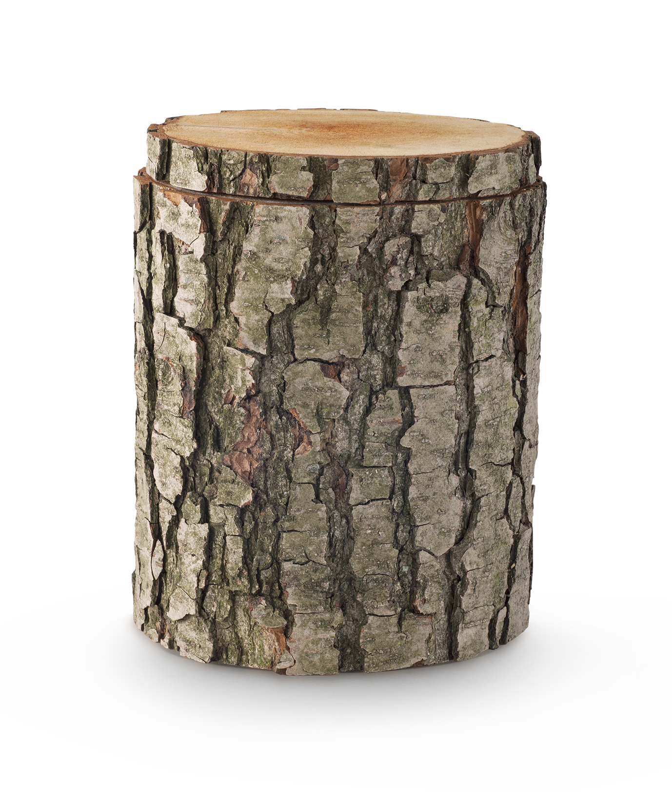 Völsing Urn Edition Tree Urn Wood
