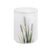 Binsen Weiß