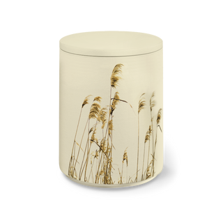 Kaufen schilf-sandbeige Feuer und Erde Aqua Flora Bio Lehm Urne Seeurne