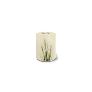 Kaufen binsen-sandbeige Feuer und Erde Aqua Flora Memory Bio Lehm Urne