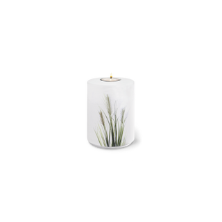 Kaufen binsen-weiss Feuer und Erde Aqua Flora Memory Bio Lehm Urne