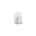 Schilf Weiß