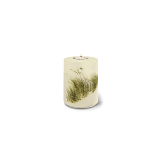 Kaufen srandhafer-sandbeige Feuer und Erde Aqua Flora Memory Bio Lehm Urne