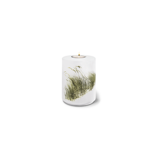 Kaufen strandhafer-weiss Feuer und Erde Aqua Flora Memory Bio Lehm Urne
