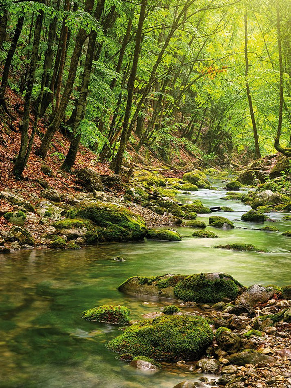 Farewell Print Premium Roll-Up 150