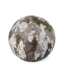 Feuer und Erde Birke Bio Lehm Urne-2