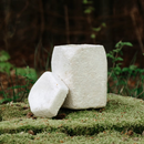 Evig Rest in Pilz Urne-2