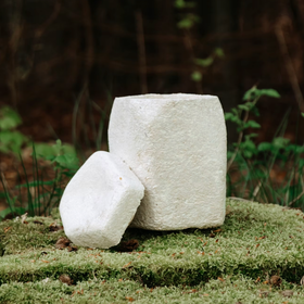 Evig Rest in Pilz Urne - 0