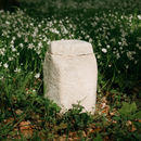 Evig Rest in Pilz Urne-1