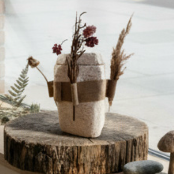 Evig Rest in Pilz Urne