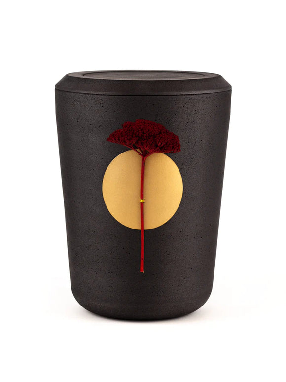 Kohleurne Testpaket - Ausstellungsurne