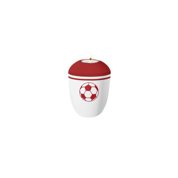Feuer und Erde Fussball Pure Memory Bio Lehm Urne