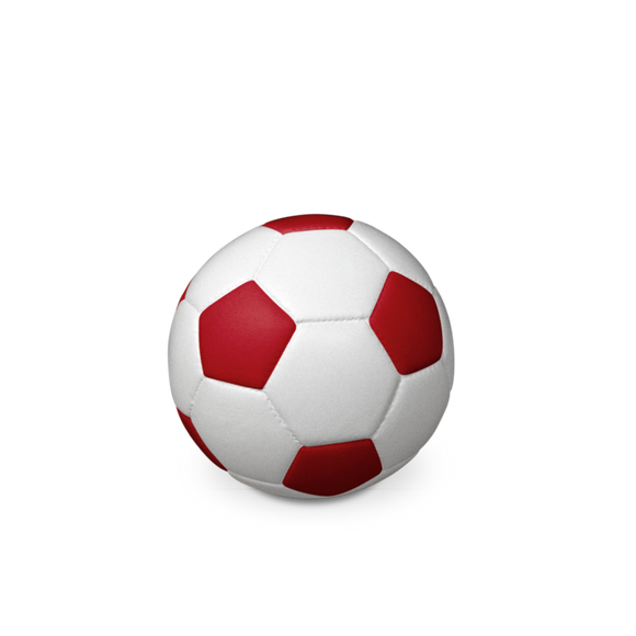 Feuer und Erde Fußball Bio Lehm Urne