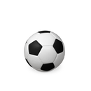 Feuer und Erde Fußball Bio Lehm Urne-5