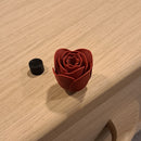 Lavabis Motiv Sargschrauben-24