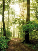 Farewell Print Premium Roll-Up 150-5