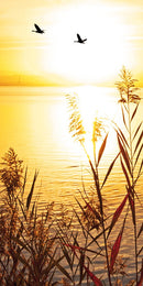 Farewell Print Premium Roll-Up 100 UNO-4