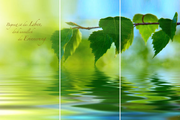 Farewell Print Premium Roll-Up 100 TRIO