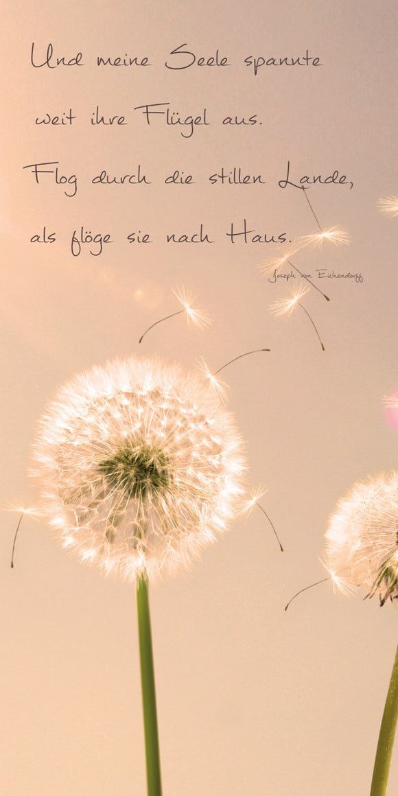 Farewell Print Premium Roll-Up 100 UNO