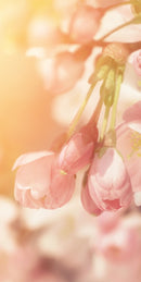 Farewell Print Premium Roll-Up 100 UNO-14