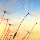 Farewell Print Premium Roll-Up 100 DUO-10