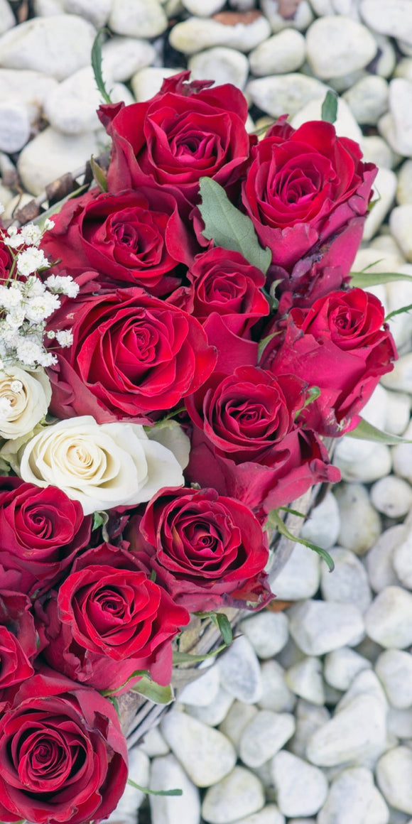 Farewell Print Premium Roll-Up 100 UNO