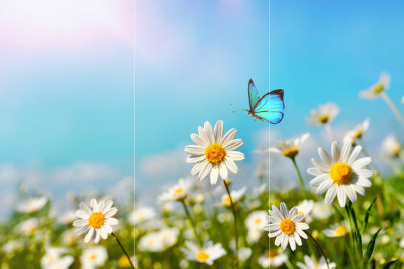 Farewell Print Premium Roll-Up 100 TRIO