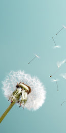 Farewell Print Premium Roll-Up 100 UNO-21