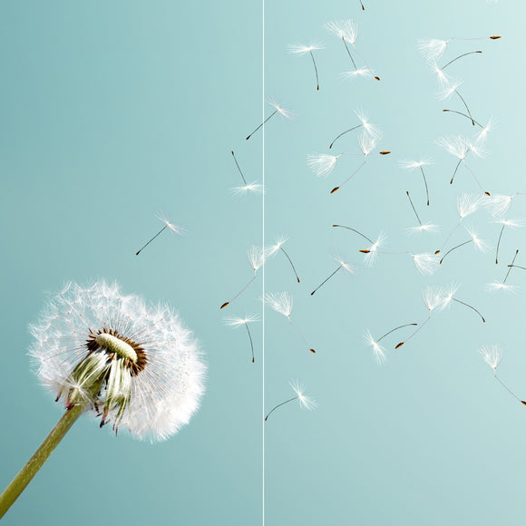 Farewell Print Premium Roll-Up 100 DUO