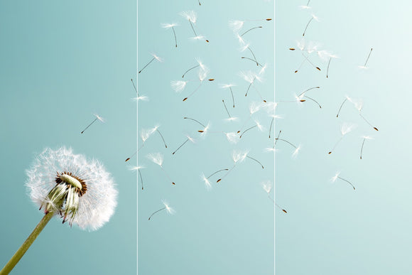 Farewell Print Premium Roll-Up 100 TRIO