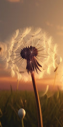 Farewell Print Premium Roll-Up 100 UNO-22